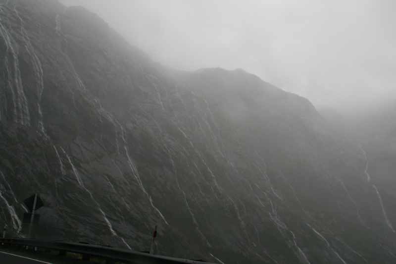 Nieuw-Zeeland 2011 - 1724